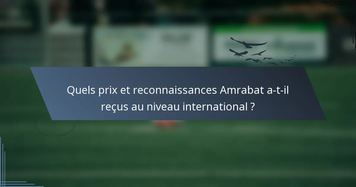 Quels prix et reconnaissances Amrabat a-t-il reçus au niveau international ?